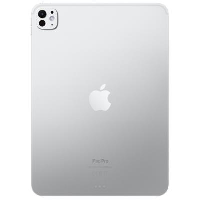 Apple iPad Pro 11" WiFi 512GB with Standard glass - Silver
