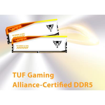 PATRIOT VIPER ELITE 5 TUF GAMING RGB HS 32GB DDR5 6600MT/s / DIMM / CL34 / 1,4V / Kit 2x 16GB