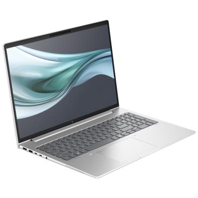 HP EliteBook 660 G11/ Ultra 5-125U/ 16GB DDR5/ 512GB SSD/ Intel Graphics/ 16"WUXGA,matný/ W11P/ stříbrná