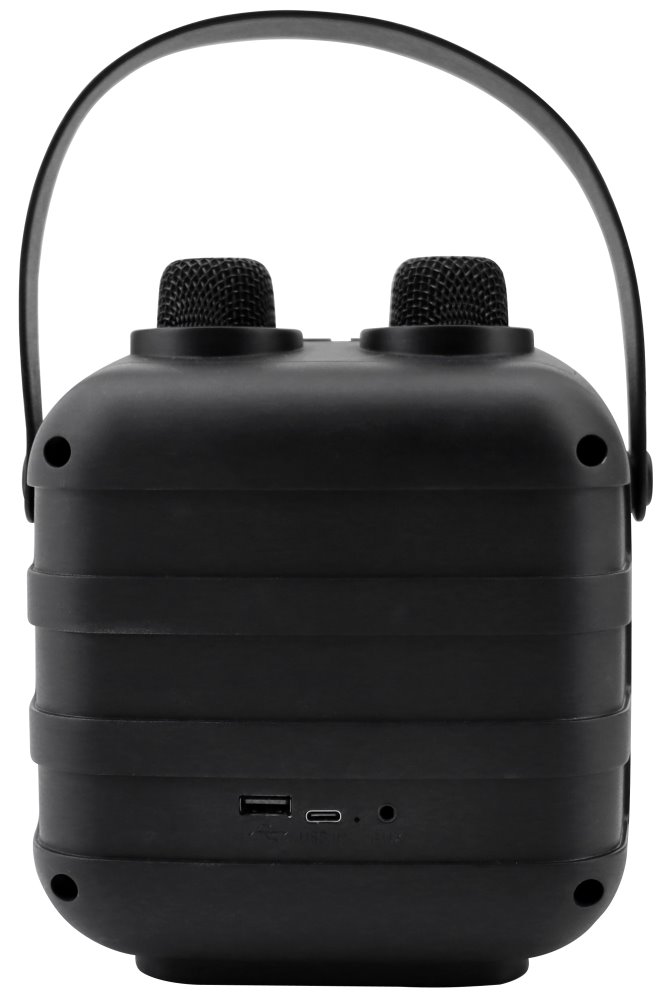 Soundmaster BT2024SW/ 5W/ BT/ Disco light/ USB-C/ 2x BT mikrofony