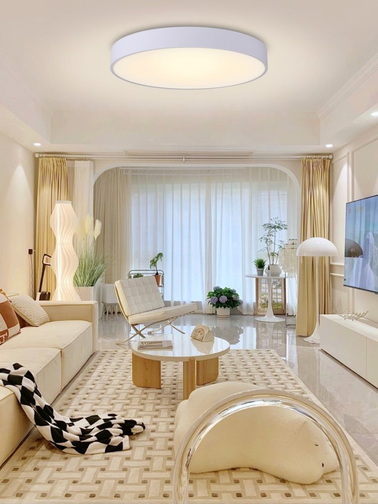 IMMAX NEO RONDATE SLIM SMART stropní svítidlo 80 x 7cm 65W bílé Zigbee 3.0, TUYA