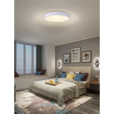 IMMAX NEO RONDATE SLIM Smart stropní svítidlo 60 x 7cm 53W 3710lm bílé Zigbee 3.0, TUYA