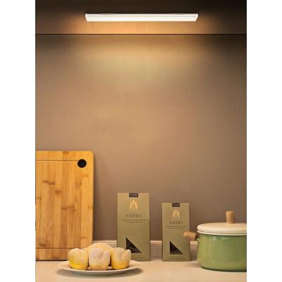 IMMAX LED interierové světlo CABINET-4/ 1,5W/ 85lm/ 4000K/ 300 x 40 x 9mm/ micro USB/ PIR senzor