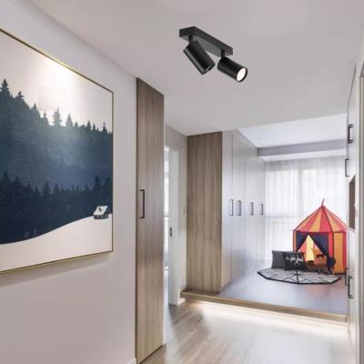 IMMAX PUNTO-2 stropní, nástěnné bodové svítidlo, 2 hlavy, černé, pro zdroj typu GU10