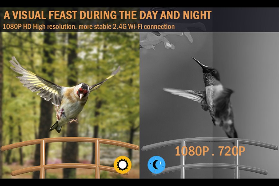 TRX Innotronik IEN-BC69B Bezpečnostní Chytré wi-fi solární ptačí krmítko s 2MP kamerou a li-ion bateriemi