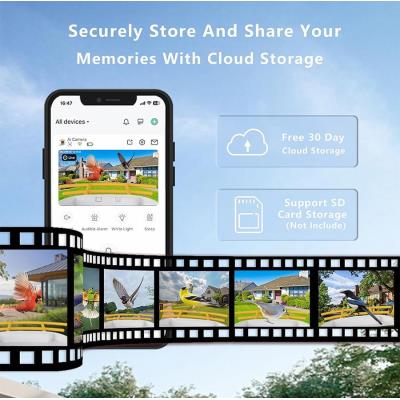 TRX Innotronik IEN-BC69B Bezpečnostní Chytré wi-fi solární ptačí krmítko s 2MP kamerou a li-ion bateriemi