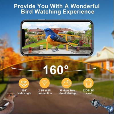 TRX Innotronik IEN-BC69B Bezpečnostní Chytré wi-fi solární ptačí krmítko s 2MP kamerou a li-ion bateriemi