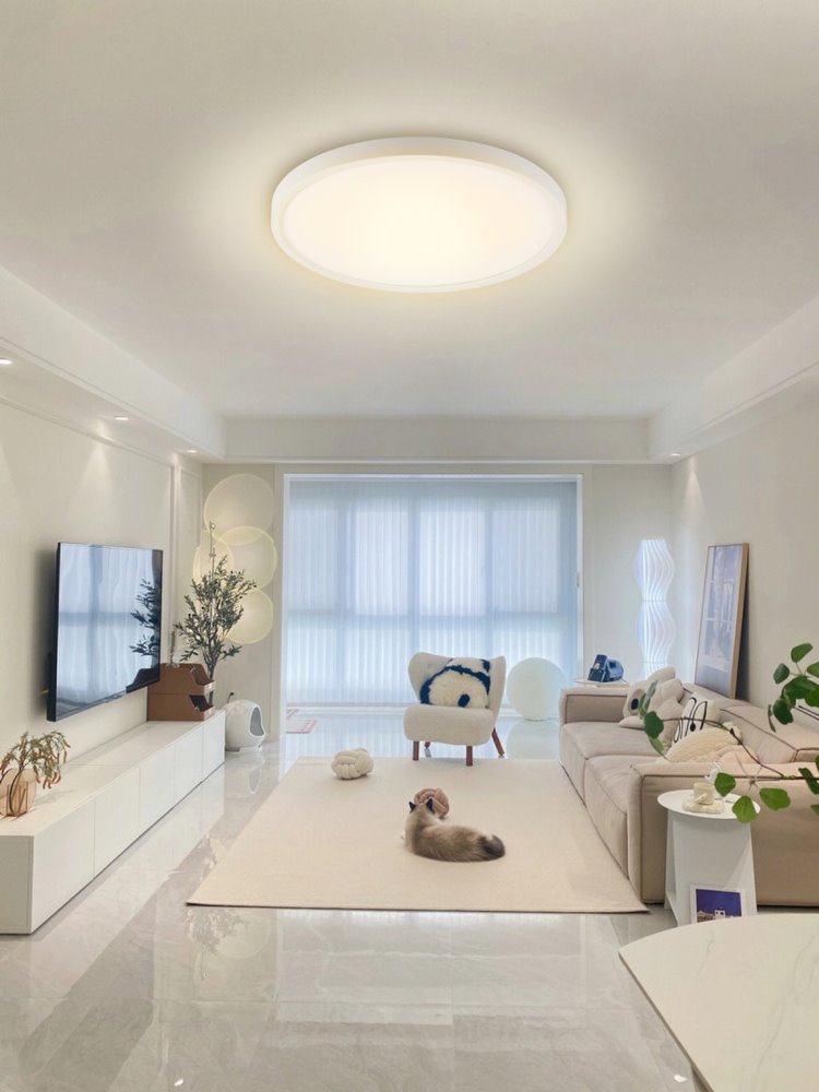 IMMAX NEO LITE TUDO SMART stropní svítidlo  RGB podsvícení 60cm 65W, s podporou BEACON, Wi-Fi, TUYA, bílé