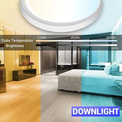 IMMAX NEO LITE TUDO SMART stropní svítidlo  RGB podsvícení 60cm 65W, s podporou BEACON, Wi-Fi, TUYA, bílé