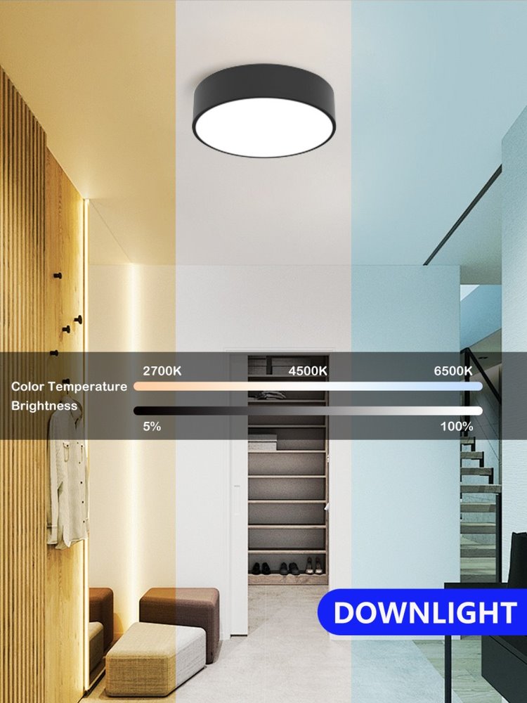 IMMAX NEO RONDATE SLIM SMART stropní svítidlo 25 x 7cm 18W Zigbee 3.0, TUYA, černé