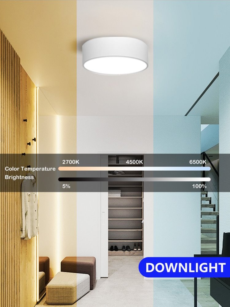 IMMAX NEO RONDATE SLIM SMART stropní svítidlo 25 x 7cm 18W Zigbee 3.0, TUYA, bílé