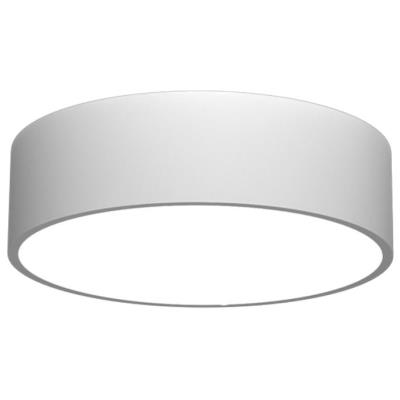 IMMAX NEO RONDATE SLIM SMART stropní svítidlo 25 x 7cm 18W Zigbee 3.0, TUYA, bílé