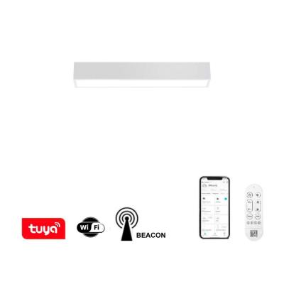 IMMAX NEO LITE LUNGO SMART stropní svítidlo 58cm 20W 1520lm, s podporou BEACON, Wi-Fi, TUYA, bílé
