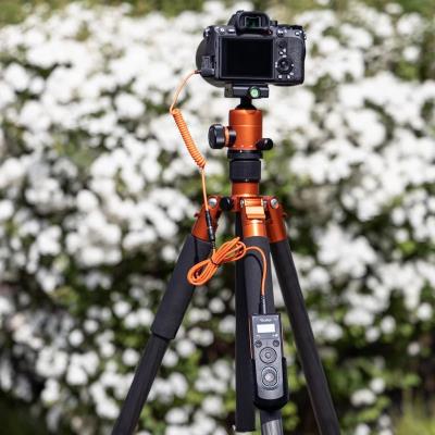 Rollei Remote Cable Nikon/ Displej