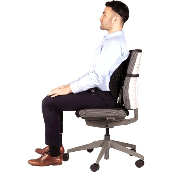 FELLOWES zádová opěrka Back Angel