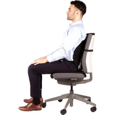 FELLOWES zádová opěrka Back Angel