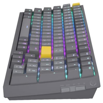 Endorfy mechanická klávesnice Celeris 1800 / BT / USB / bezdrát / MacOS kompatibilní / sidetune / US layout