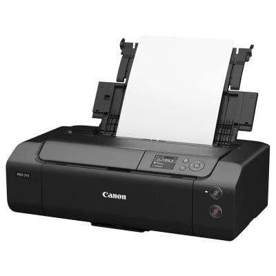 Canon imagePROGRAF  Pro-310  /A3+/ 4800x2400/ WiFi/  USB/ LAN / 10 barevných náplní / černá