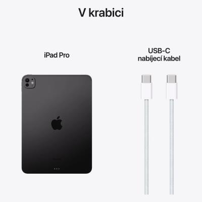 Apple iPad Pro 11" (2024) / 2TB / M4 / WiFi + Cellular / Nanotextura / Vesmírně černý