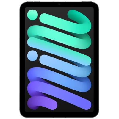 Apple iPad mini 8,3" (2024) / 256GB / A17 Pro / WiFi + Cellular / Vesmírně šedý