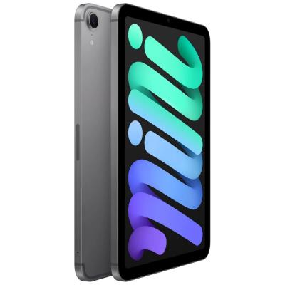 Apple iPad mini 8,3" (2024) / 256GB / A17 Pro / WiFi + Cellular / Vesmírně šedý