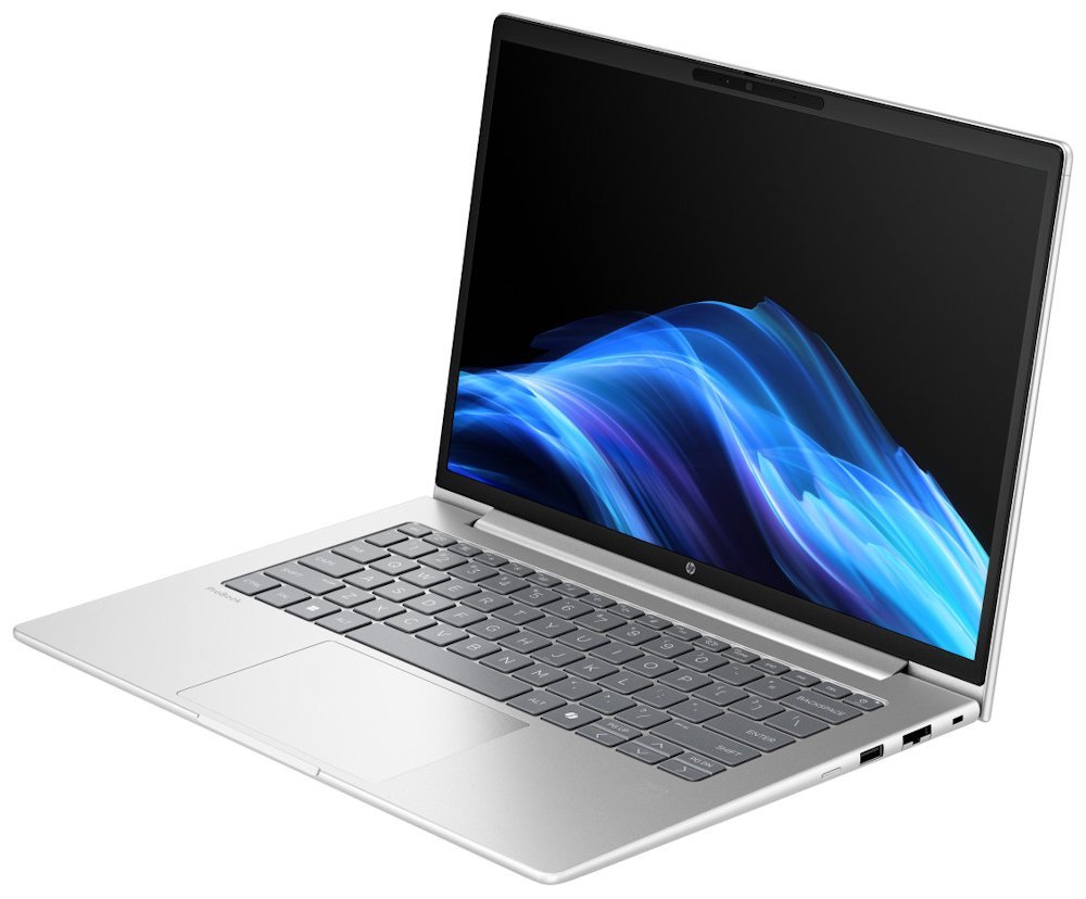 HP ProBook 4 G1a/ Ryzen™ 5 220/ 16GB DDR5/ 512GB SSD/ Radeon™ Graphics/ 14" WUXGA,matný/ W11P/ stříbrný