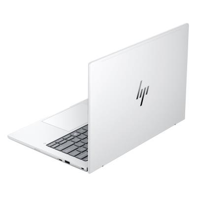 HP Elitebook 8 G1a/ Ryzen™ 7 250/ 32GB DDR5/ 1TB SSD/ Radeon™ Graphics/ 14" WUXGA,matný/ W11P/ stříbrný