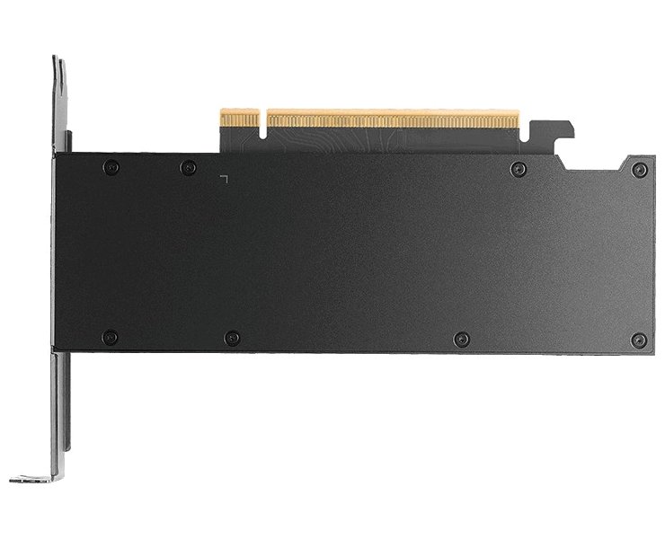 NVIDIA RTX PRO 2000 Blackwell / 16GB GDDR7 / PCIe 5.0 x16 / 4x mDP / Low Profile bracket v balení