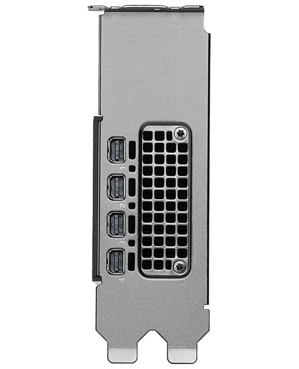 NVIDIA RTX PRO 2000 Blackwell / 16GB GDDR7 / PCIe 5.0 x16 / 4x mDP / Low Profile bracket v balení