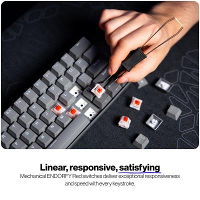 Endorfy mechanická klávesnice Thock V2 Compact / drátová / ARGB /  red sw. / USB / kompaktní / US layout