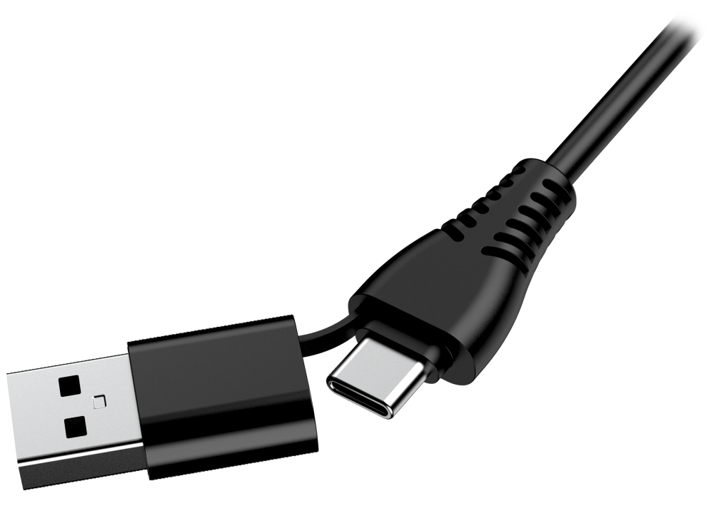 GENIUS FaceCam Light/ 2M 1080P/ LED světlo/ kryt soukromí/ USB-C/ USB/ UVC/ mikrofon/ černá