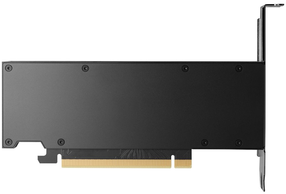 DELL NVIDIA RTX 2000 Ada Generation/ 16GB GDDR6/ full height/ PCIe 4.0 x8/ 4 mDP