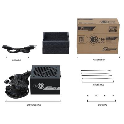 SEASONIC zdroj Core GC-750 / 750W / ATX3.1 / 120mm fan / 80PLUS Gold