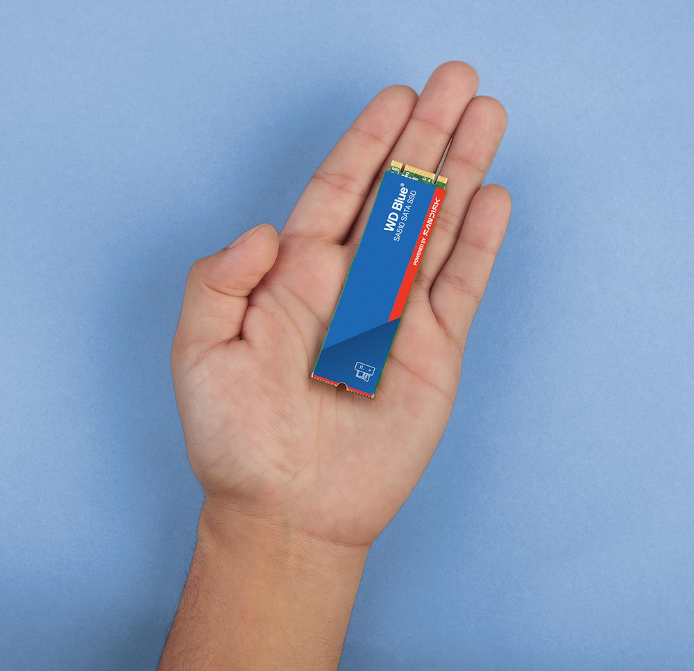 WD SSD BLUE SA510 1TB / WDS100T3B0B / M.2 SATA III / Interní / 2280