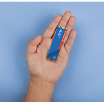 WD SSD BLUE SA510 250GB / WDS250G3B0B / M.2 SATA III / Interní / 2280