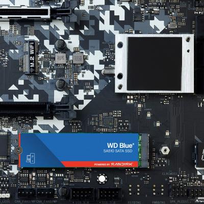 WD SSD BLUE SA510 500GB / WDS500G3B0B / M.2 SATA III / Interní / 2280