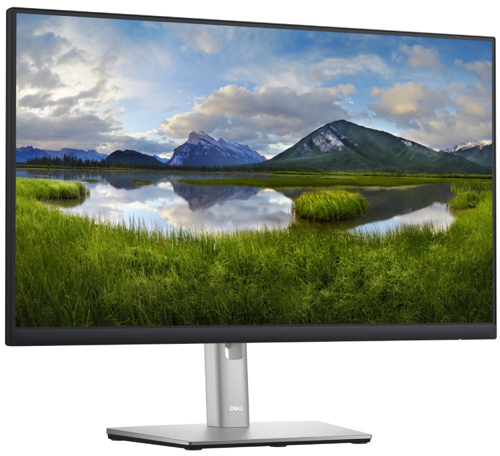 DELL P2422H Professional/ 24" LED/ 16:9/ 1920x1080/ 1000:1/ 5ms/ Full HD/ 3H IPS/ 4x USB/ DP/ HDMI/ VGA/ 3Y Basic