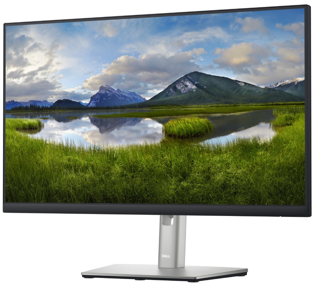 DELL P2422H Professional/ 24" LED/ 16:9/ 1920x1080/ 1000:1/ 5ms/ Full HD/ 3H IPS/ 4x USB/ DP/ HDMI/ VGA/ 3Y Basic