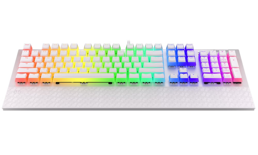 Endorfy herní klávesnice Omnis OWH Pudd.Kailh BL RGB / USB / blue switch / drátová /mechanická/US layout/bílá RGB