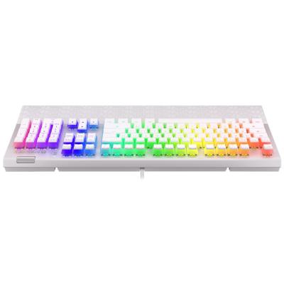 Endorfy herní klávesnice Omnis OWH Pudd.Kailh BL RGB / USB / blue switch / drátová /mechanická/US layout/bílá RGB