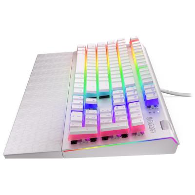 Endorfy herní klávesnice Omnis OWH Pudd.Kailh BL RGB / USB / blue switch / drátová /mechanická/US layout/bílá RGB