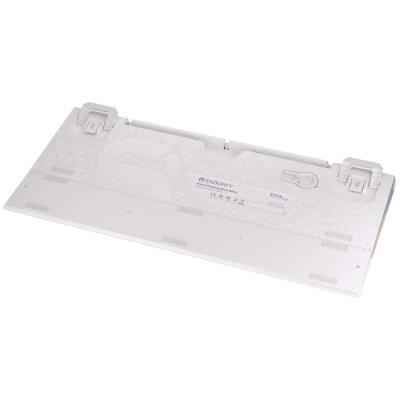 Endorfy herní klávesnice Omnis OWH Pudd.Kailh BR RGB /USB/ brown switch / drátová / mechanická / US layout / bílá RGB