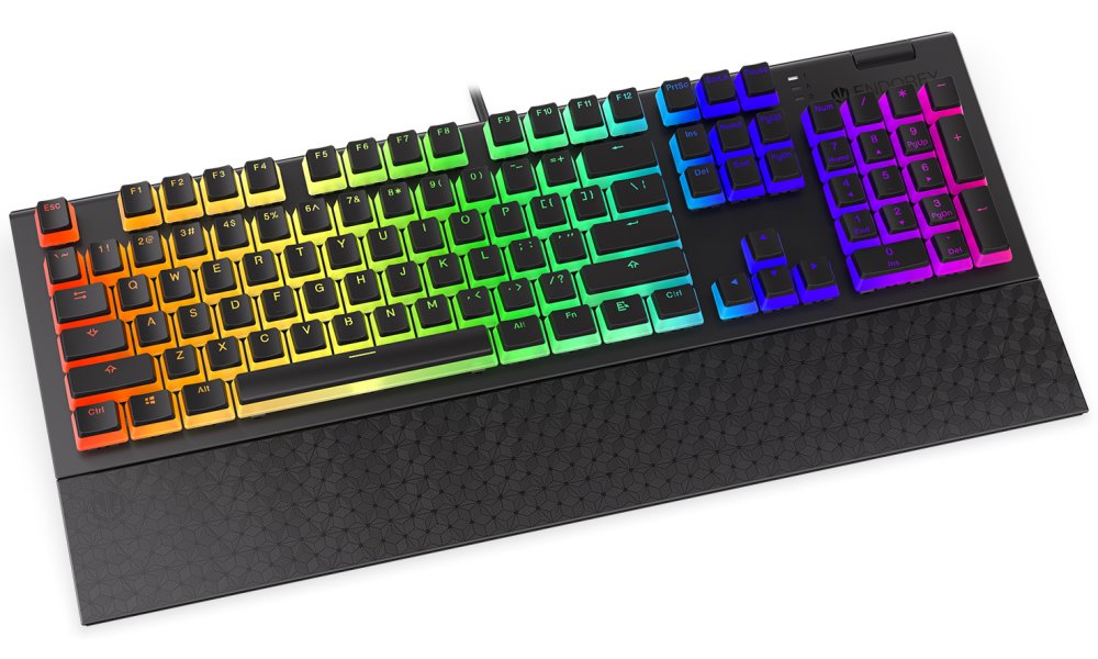 Endorfy herní klávesnice Omnis Pudd.Kailh BL RGB /USB/ blue switch / drátová / mechanická / US layout / černá RGB