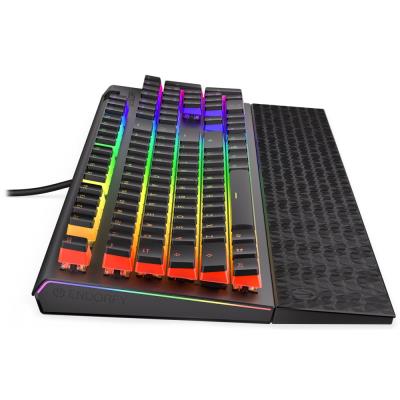 Endorfy herní klávesnice Omnis Pudd.Kailh BL RGB /USB/ blue switch / drátová / mechanická / US layout / černá RGB