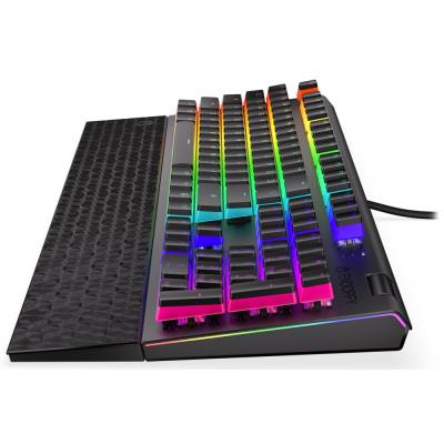 Endorfy herní klávesnice Omnis Pudd.Kailh BL RGB /USB/ blue switch / drátová / mechanická / US layout / černá RGB