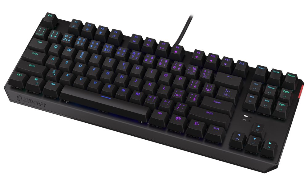 Endorfy herní klávesnice Thock TKL Kailh RD RGB /USB/ red sw. / drátová / mechanická / CZ/SK layout / černá RGB