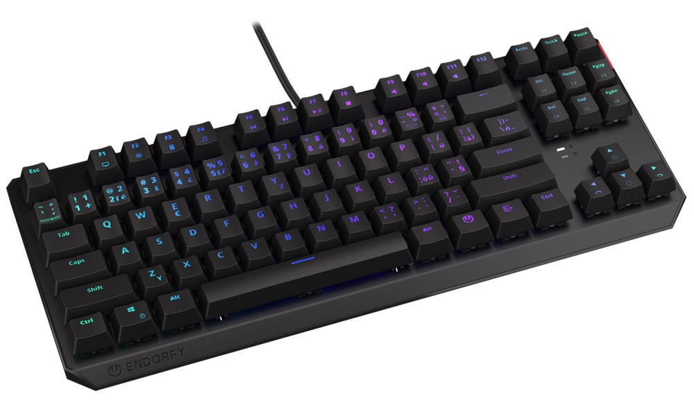 Endorfy herní klávesnice Thock TKL Kailh RD RGB /USB/ red sw. / drátová / mechanická / CZ/SK layout / černá RGB