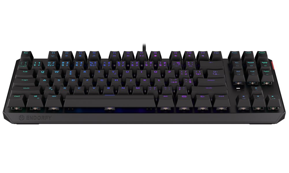 Endorfy herní klávesnice Thock TKL Kailh  BR RGB /USB/ brown sw. / drátová / mechanická / CZ/SK layout / černá RGB