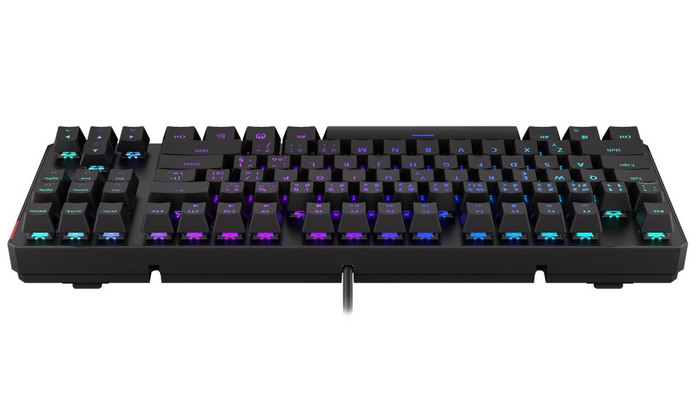 Endorfy herní klávesnice Thock TKL Kailh  BR RGB /USB/ brown sw. / drátová / mechanická / CZ/SK layout / černá RGB