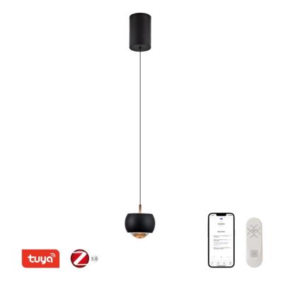 IMMAX NEO DORMINE SMART stahovací bodové svítidlo, černé matné, Zigbee 3.0, TUYA